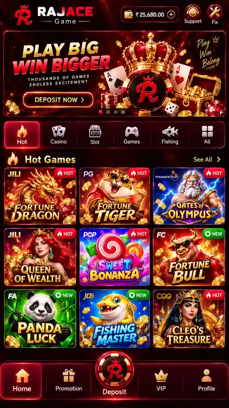 RajAce Game app screenshot 5